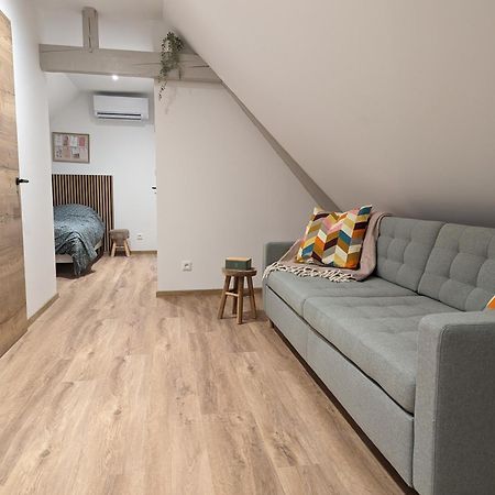 Le Cosy Apartment Marlenheim Luaran gambar